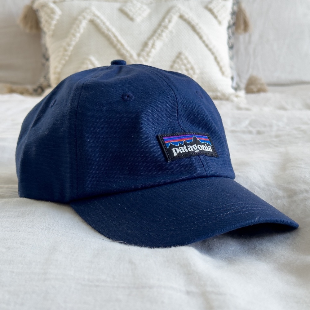 Patagonia Logo Dad Hat